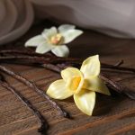 How to Choose Premium Indonesian Vanilla Beans for Your Business